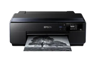 Epson P600